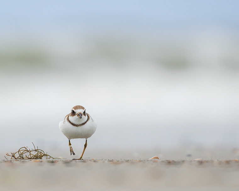 Click to see more details