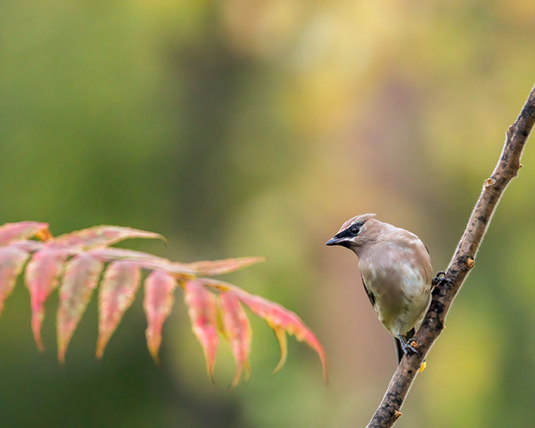 Click to see more details