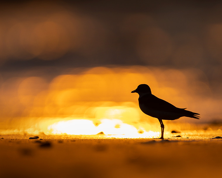 Click to see more details