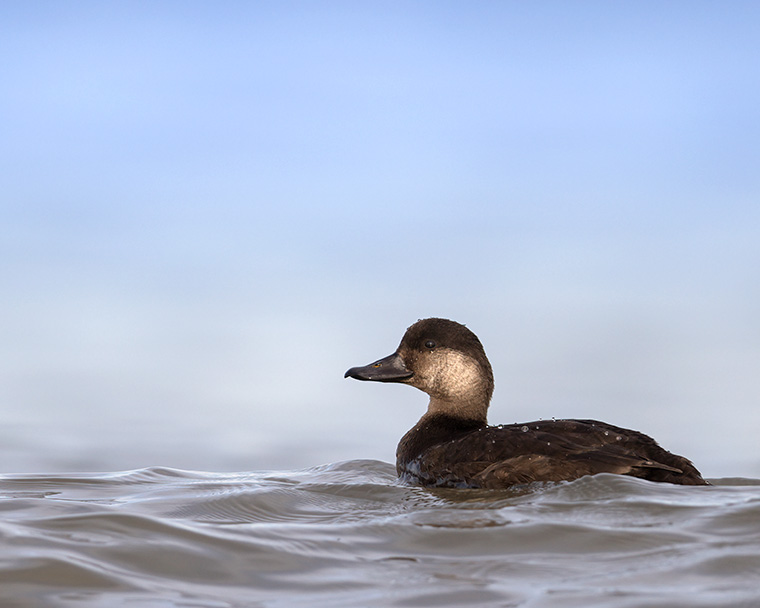 Click to see more details