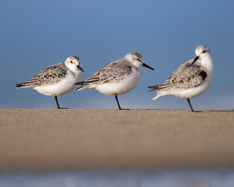 Click to see more details