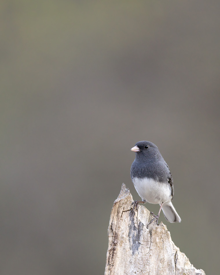 Click to see more details