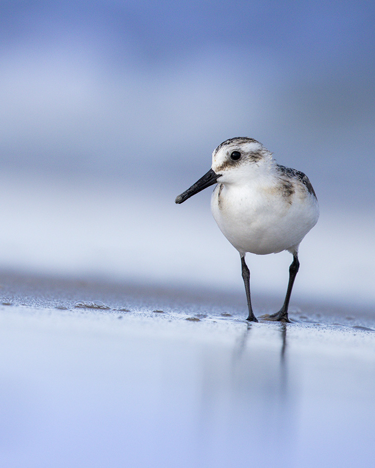 Click to see more details