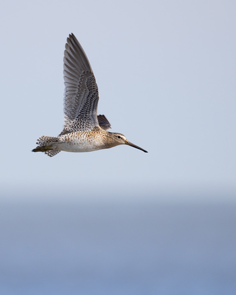 Click to see more details